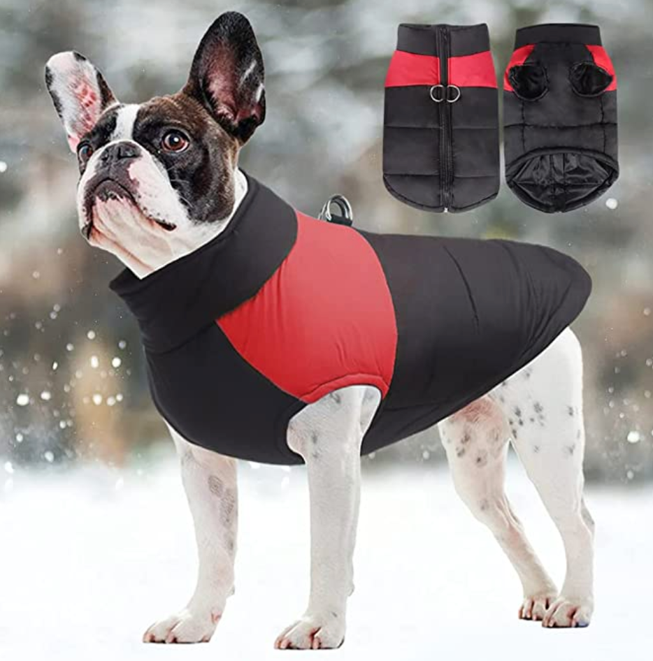 Outdoor dog gear: winter pet coat, waterproof and lined for canine protection