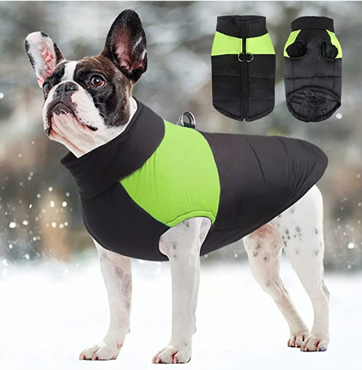 Red waterproof winter dog jacket with warm lining and reflective accents