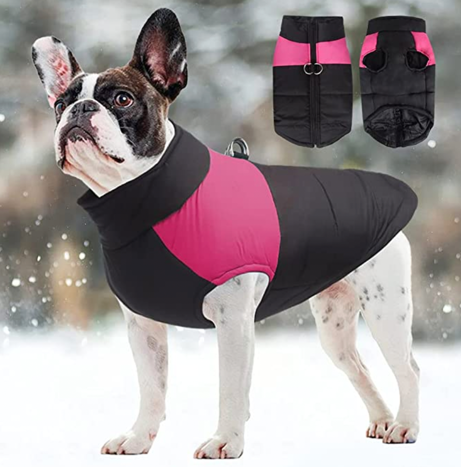 All-weather pet coat, waterproof exterior, warm interior for active dogs