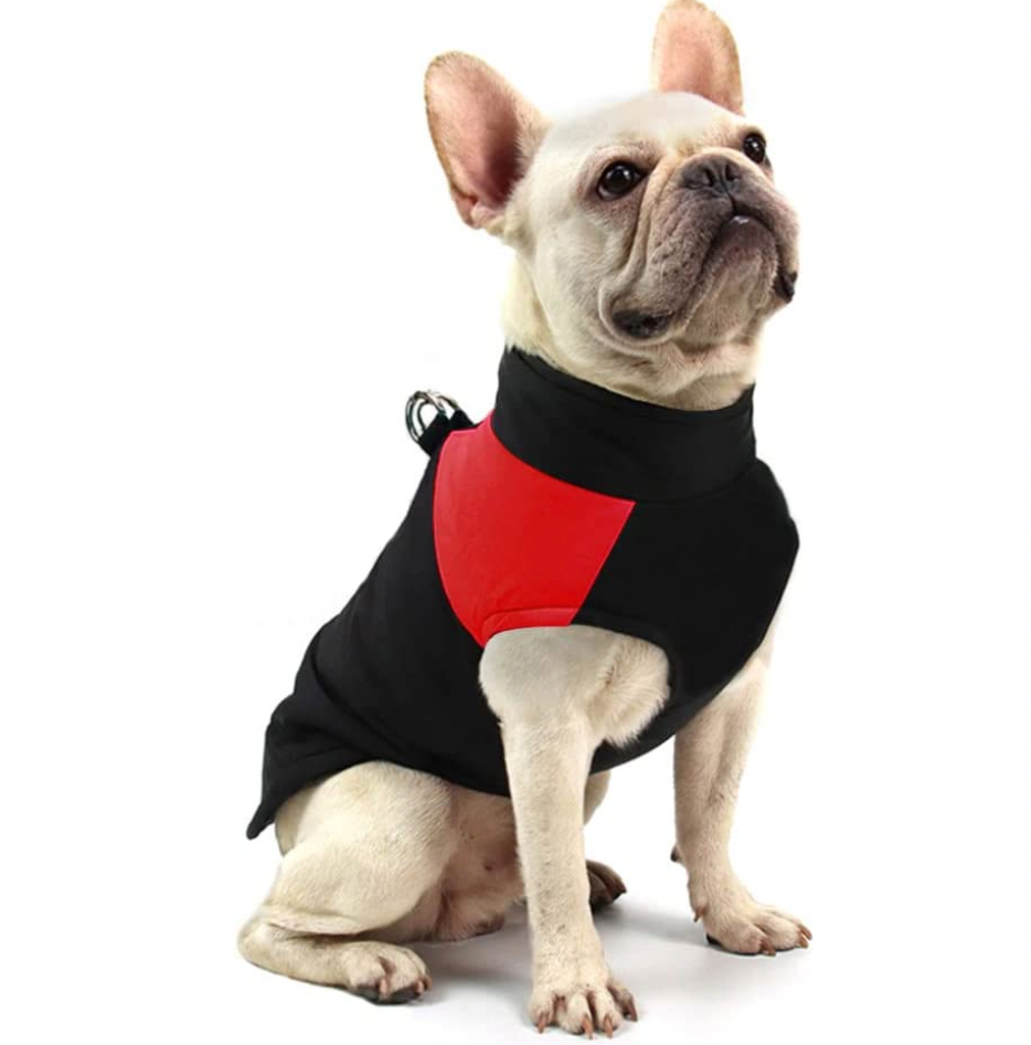 Unisex dog vest with waterproof shell and warm lining for severe winter