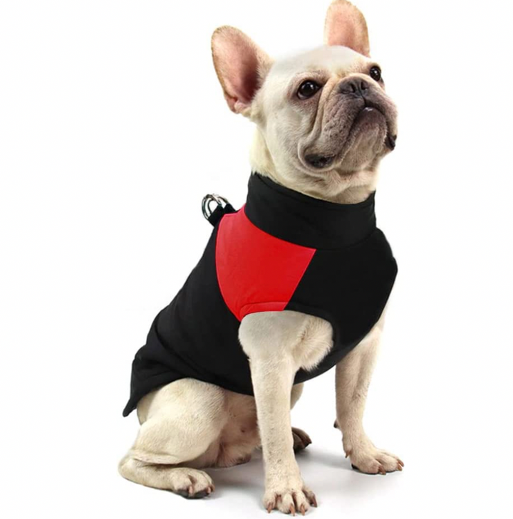 Unisex dog vest with waterproof shell and warm lining for severe winter