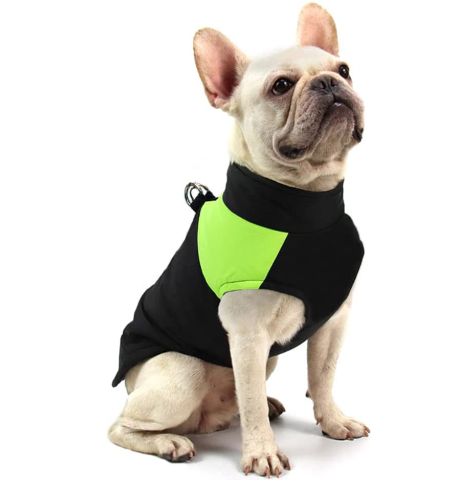 Adjustable waterproof pet jacket with warm inner layer for cold weather comfort