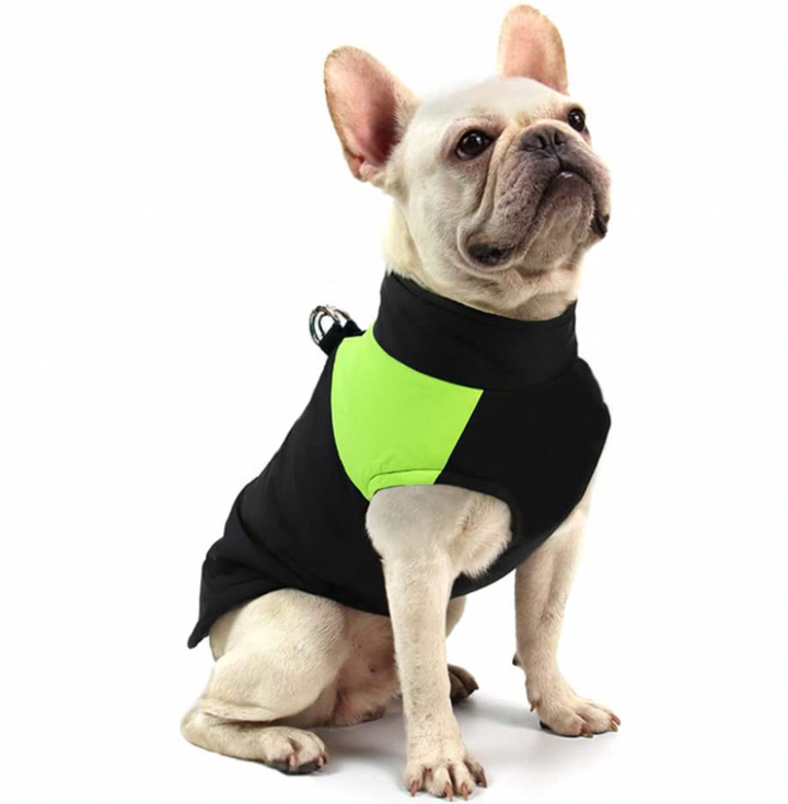 Adjustable waterproof pet jacket with warm inner layer for cold weather comfort