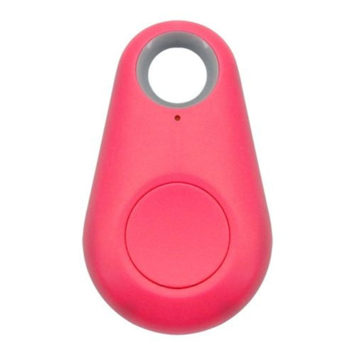 Waterproof pet GPS tracker and activity monitor attached to a brown dog collar, secure and lightweight