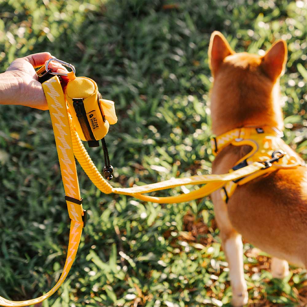 Pet waste bag dispenser featuring a zipper closure and a roll of bags visible inside