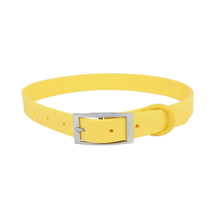 Close-up of waterproof PVC dog collar material, showing durability and texture, adjustable