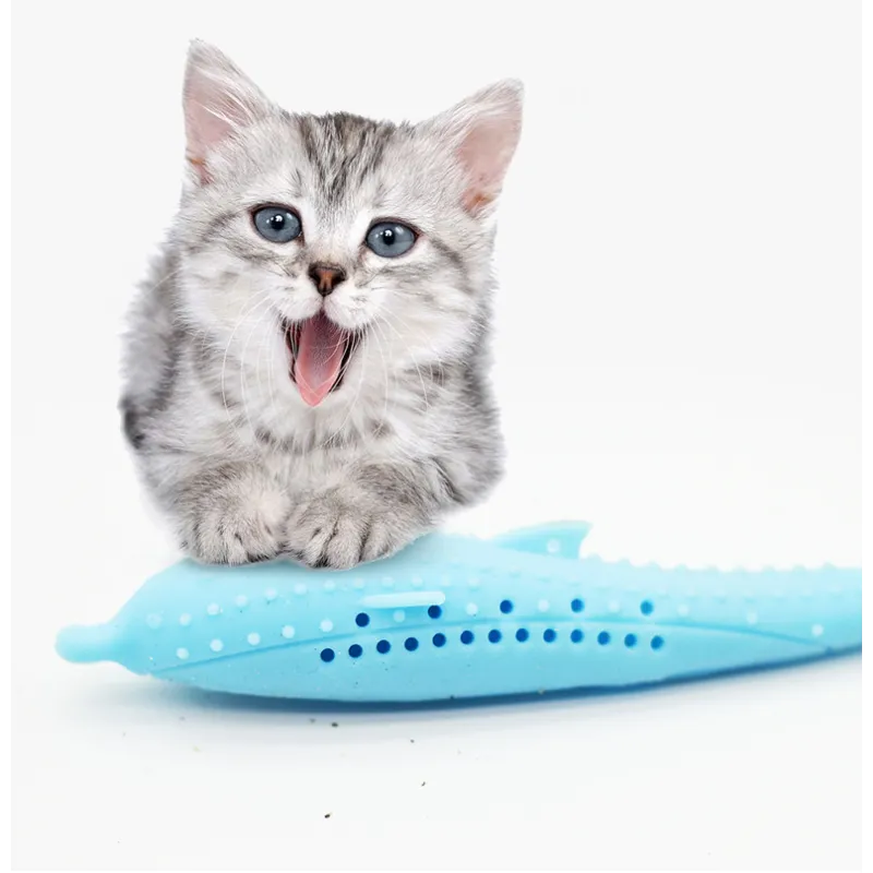 Dental care whale silicone toy for cats and small dogs, a durable and safe chew option.