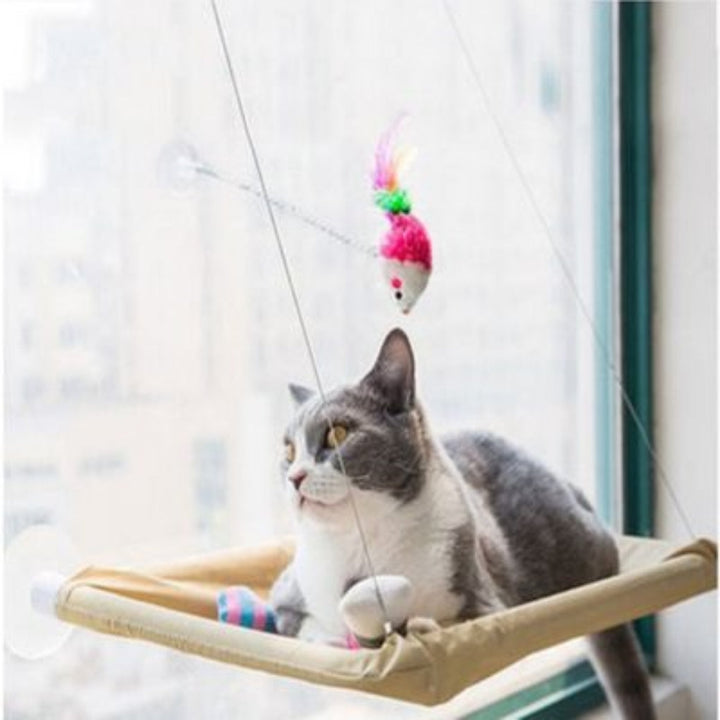 Sturdy cat hammock and window perch with extra-strong suction cups, perfect for sunbathing cats.