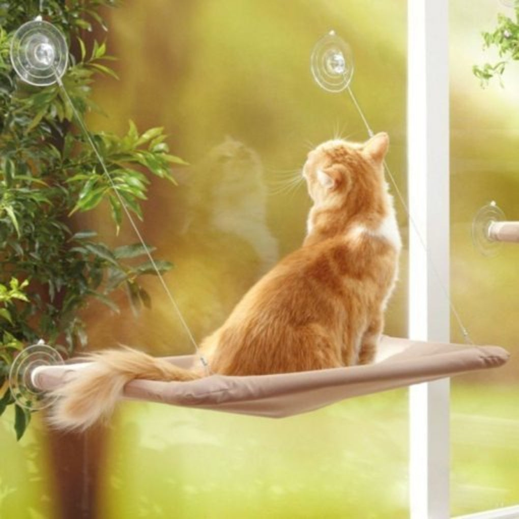 Pet supplies: innovative window-mounted cat bed, a comfortable elevated haven and pet gift for felines.