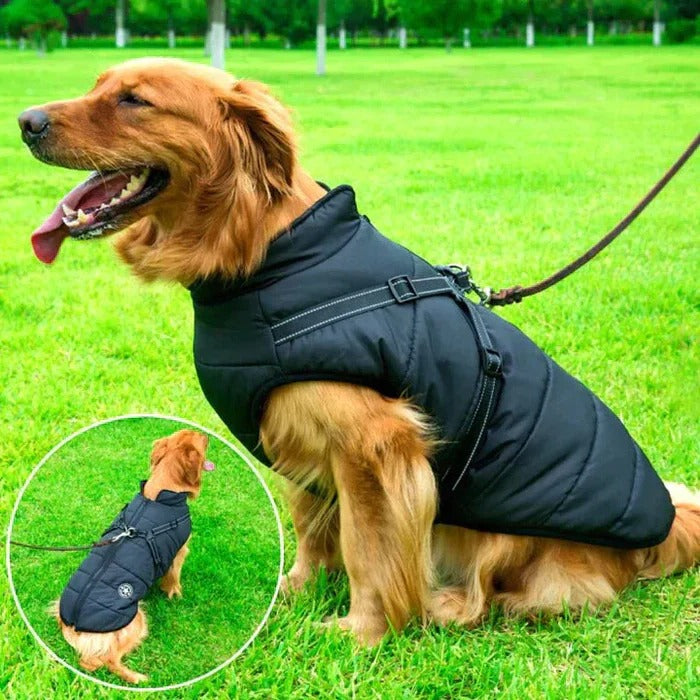 Unisex winter dog jacket, waterproof & sherpa-lined for cold weather walks with built-in harness