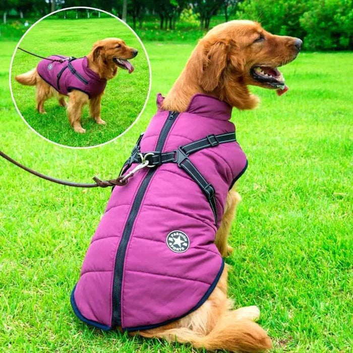 Warm pet apparel: Dog winter coat with soft sherpa lining & integrated harness for outdoor adventures
