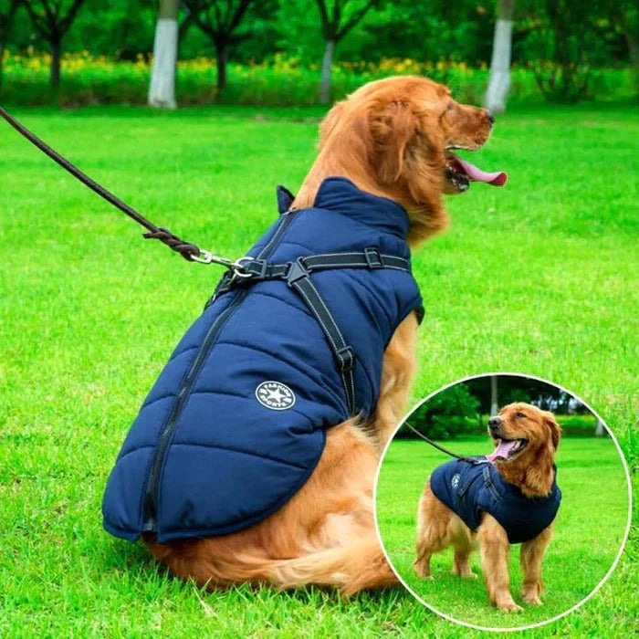 Waterproof dog jacket, unisex design, perfect for cold weather with cozy sherpa lining & harness
