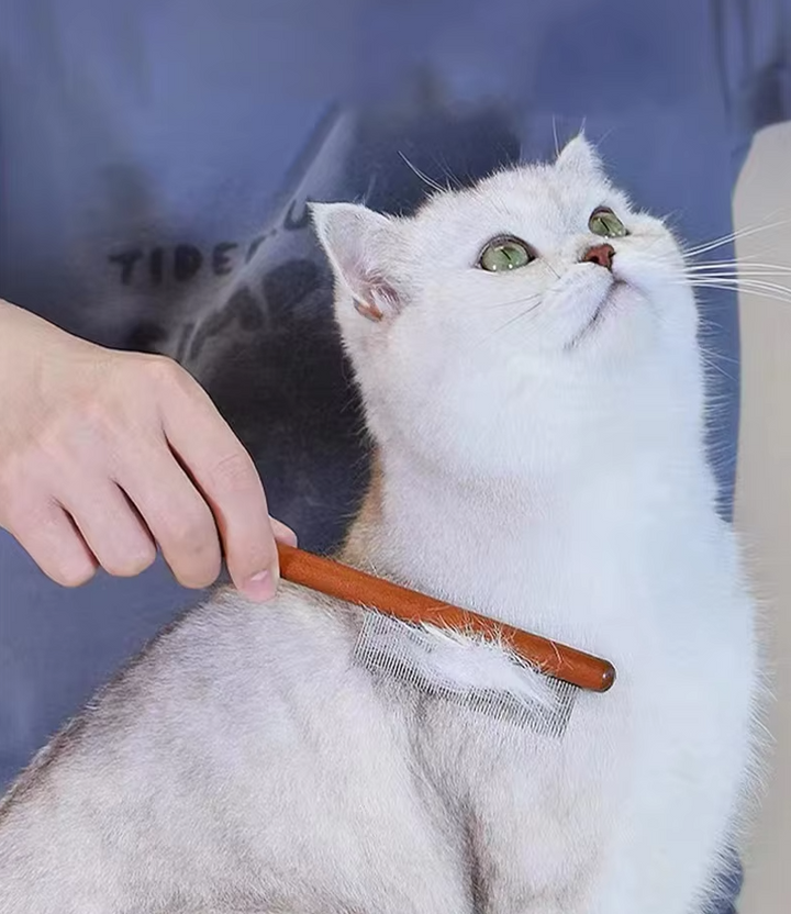 Close-up of wooden pet flea comb, fine teeth effectively remove fleas, suitable for pet care on dogs/cats