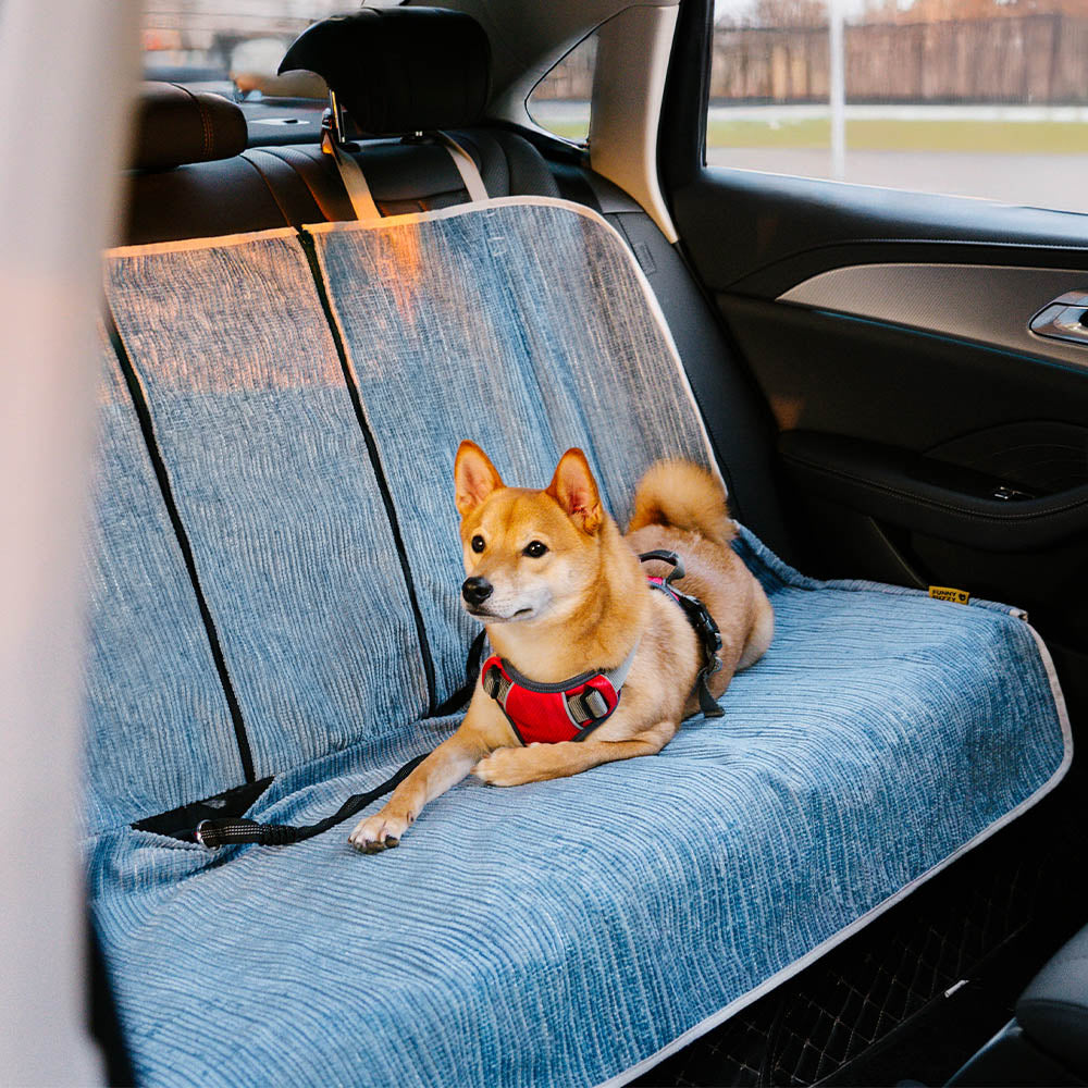 Black pet car seat cover for dogs, waterproof and non-slip, protecting auto upholstery from fur