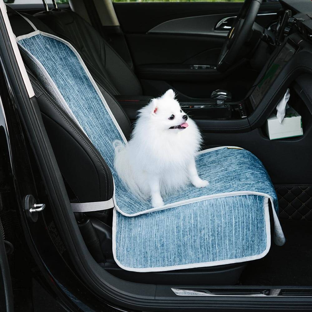 Dog enjoying a ride on a universal pet car seat cover, showcasing comfort and protection