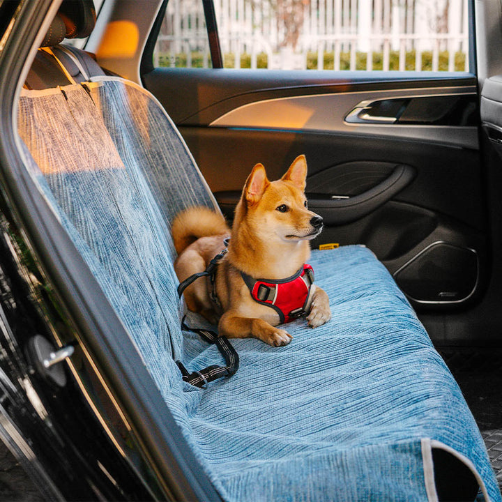 Pet car seat cover installed in a car, illustrating easy setup and full seat coverage for travel
