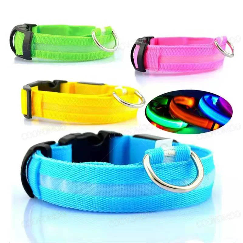 Bright LED cat collar, rechargeable via USB, enhances pet visibility & safety in the dark
