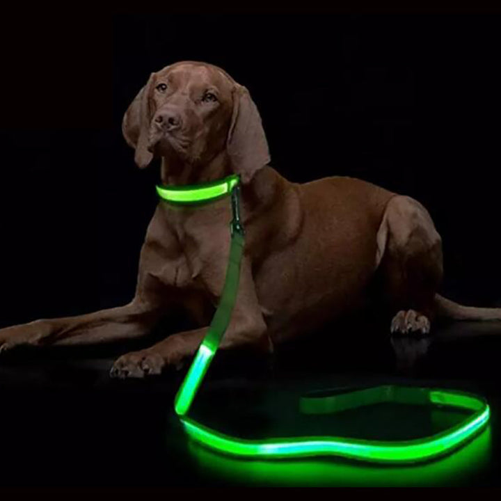 USB rechargeable LED dog leash, bright green, for night safety walking pets.