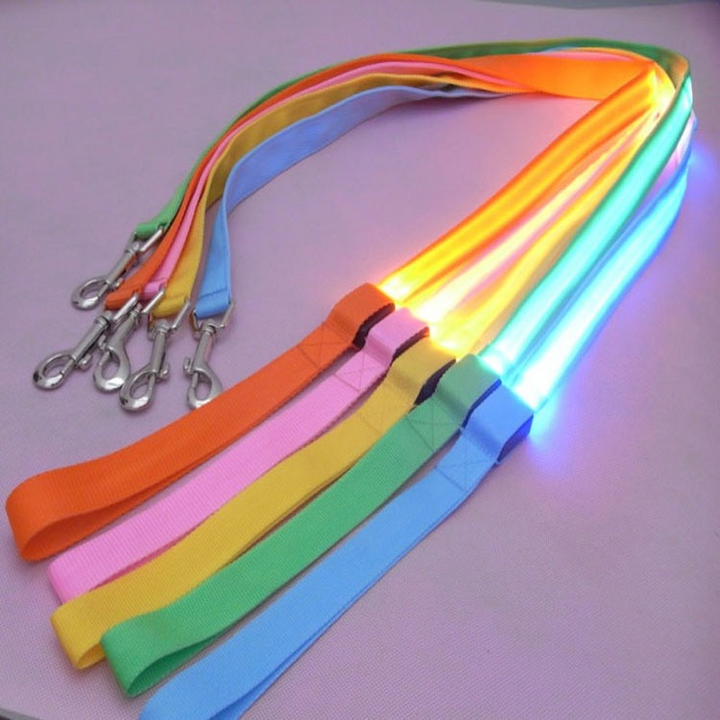 Dog walking with a visible LED leash at night, enhancing pet safety.