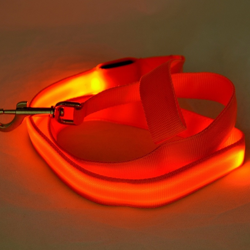 Close-up of a black nylon LED dog leash, USB rechargeable, lit up for night visibility.