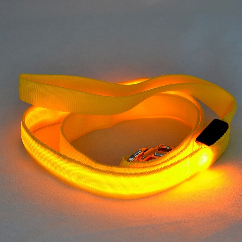 Pet owner and dog walking safely at dusk with a bright USB LED leash.