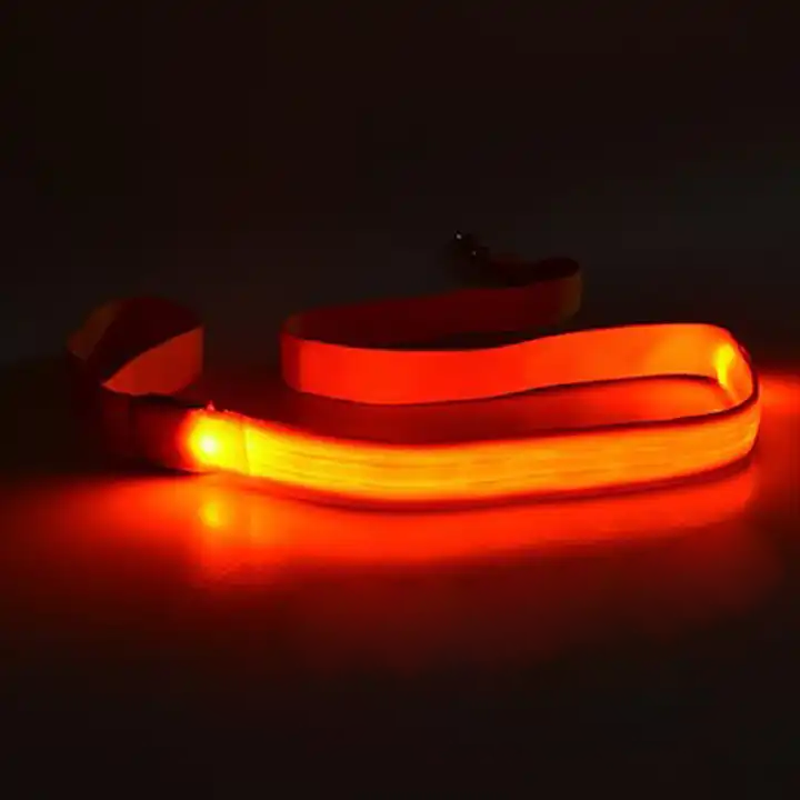 Dog accessory: a robust LED leash in motion, providing visibility for night walking.