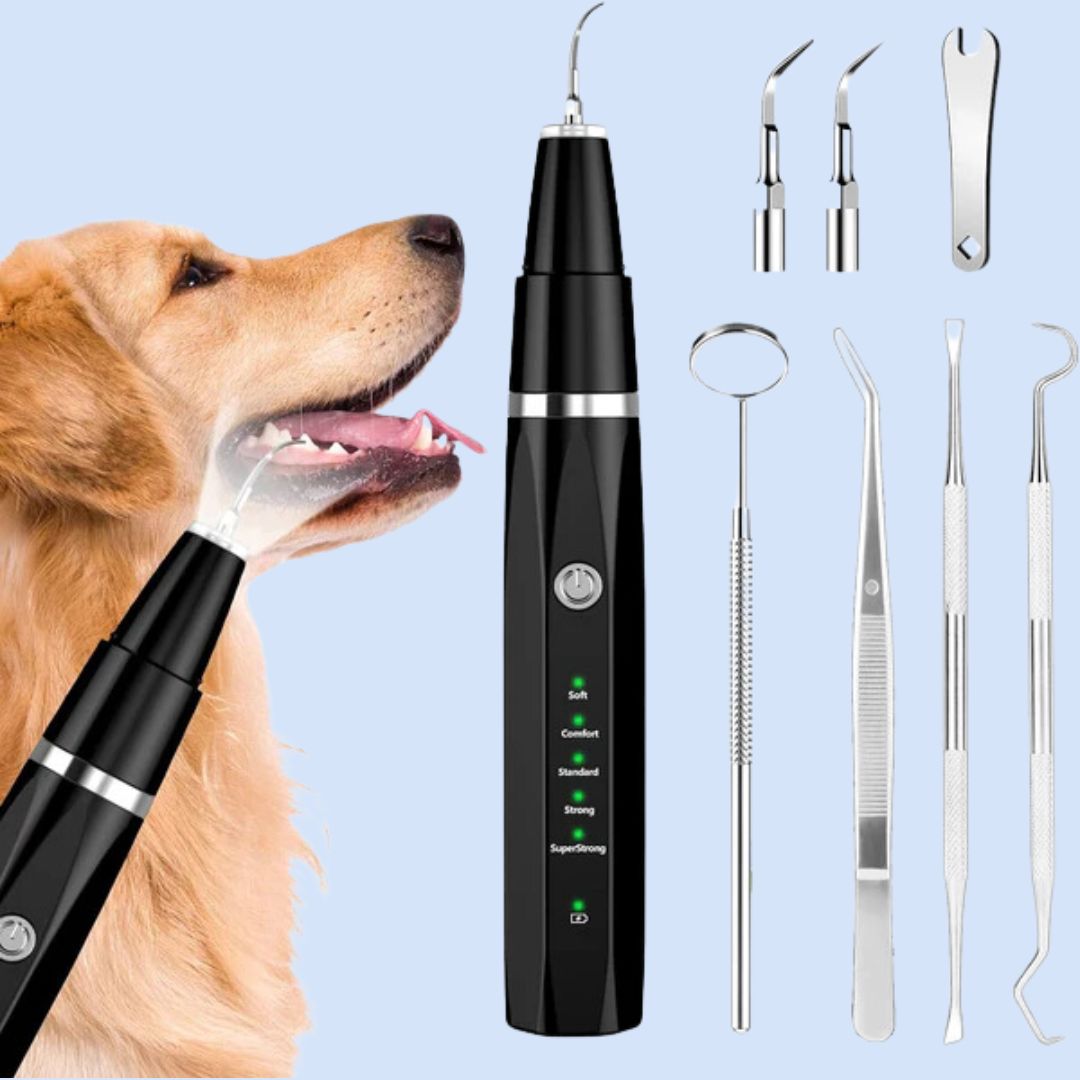 USB rechargeable pet dental cleaning kit for dogs and cats, showcasing adjustable cleaning modes for plaque & tartar removal.