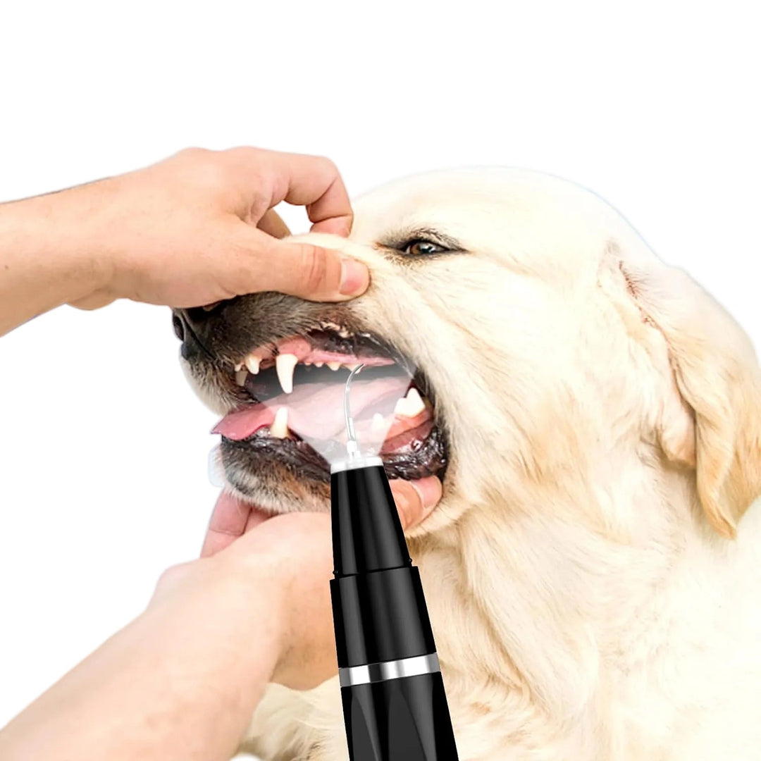 Pet dental scaling tool with various heads for dog and cat oral hygiene, USB rechargeable for convenient use.