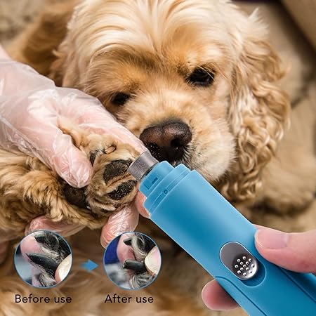 Quiet operation pet nail grinder, USB rechargeable, ideal for stress-free dog and cat paw care.