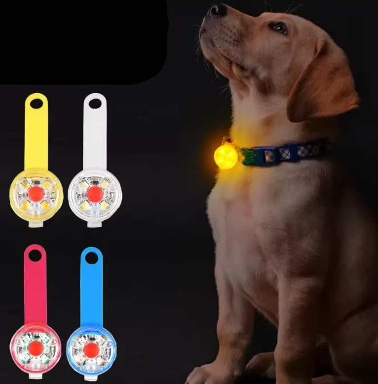 USB rechargeable waterproof pet safety light for dog or cat collar, ensuring night safety