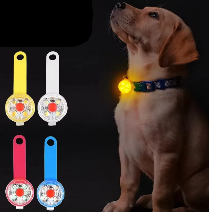 USB rechargeable waterproof pet safety light for dog or cat collar, ensuring night safety