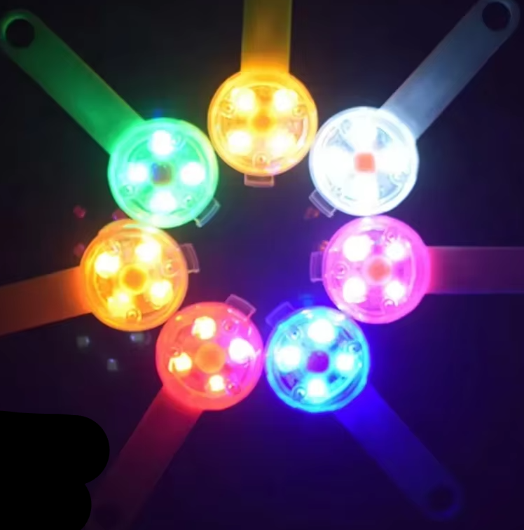 Bright pet safety light attached to a dog's collar for visibility during night walks