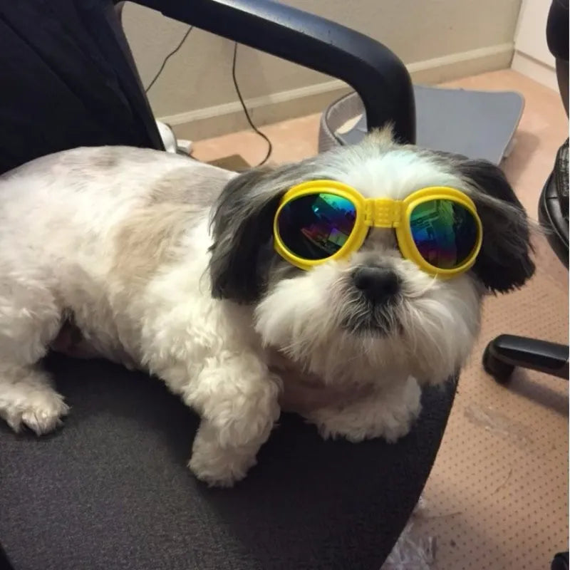 UV protective dog goggles with adjustable strap, ideal for outdoor pet eye protection