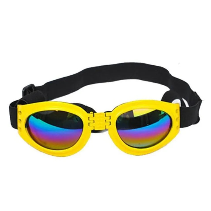 Puppy wearing adjustable dog goggles, protecting eyes from sun and wind during play
