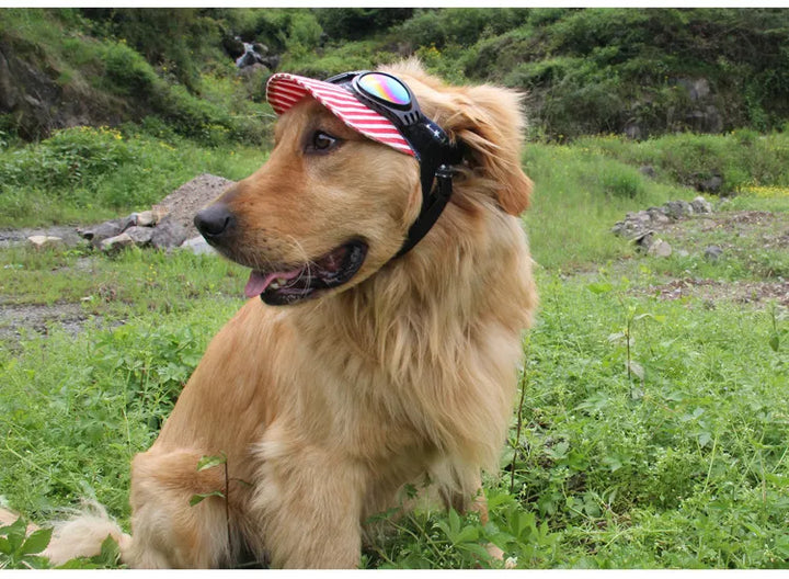 Side view of dog goggles with adjustable strap, ensuring a secure fit for pet eyewear