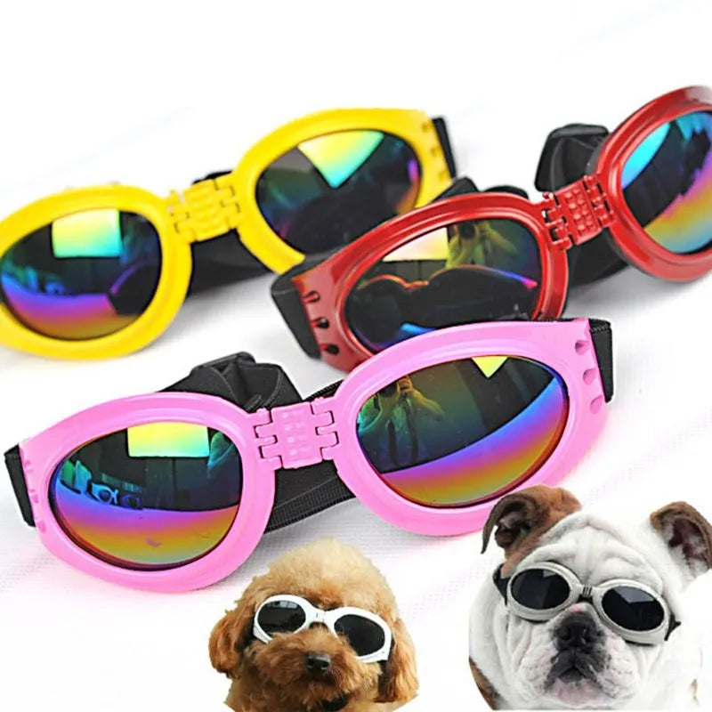 Dog goggles featuring clear UV protective lenses, perfect for sunny outdoor dog gear