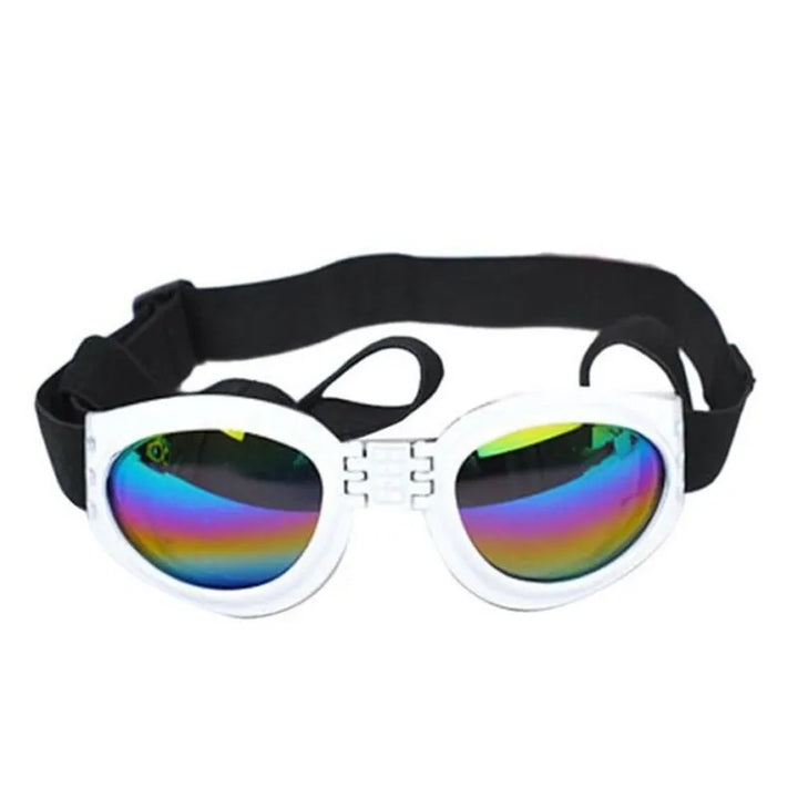 Durable dog goggles designed for pet eye protection during hiking and outdoor activities