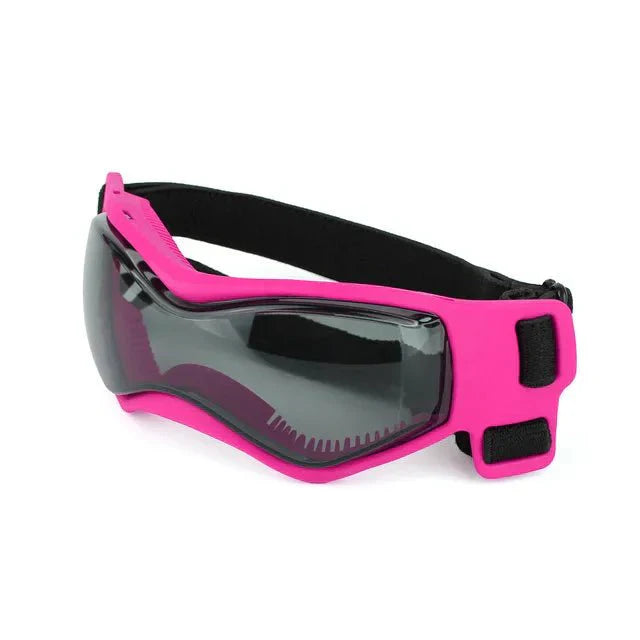 Dog wearing durable UV protective goggles, ideal for outdoor adventures and eye protection
