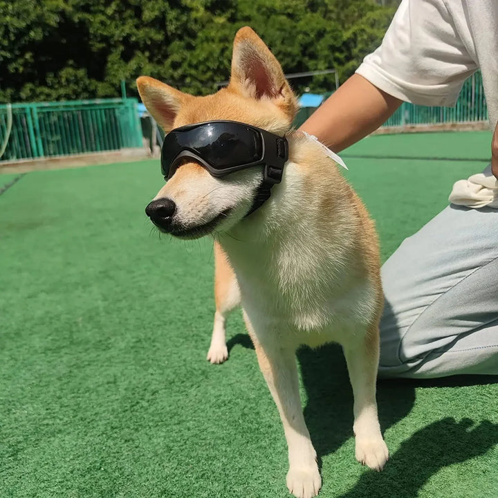 Side view of black framed dog goggles with secure adjustable straps for pets' eye safety