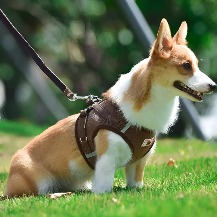 Red velvet reflective dog harness, soft and breathable for comfort, durable pet accessory.
