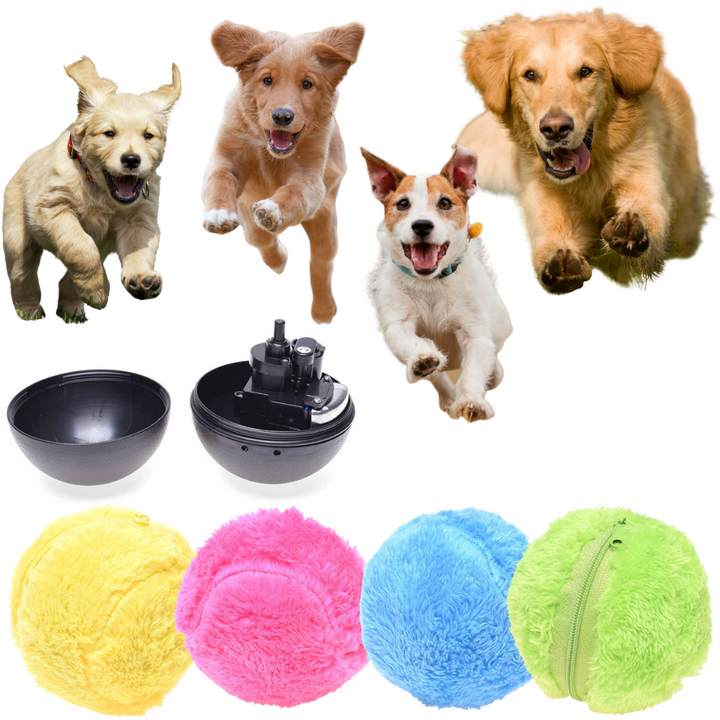 Vibrant 4-color active rolling ball set for dogs, promoting interactive play and exercise. A great dog toy.