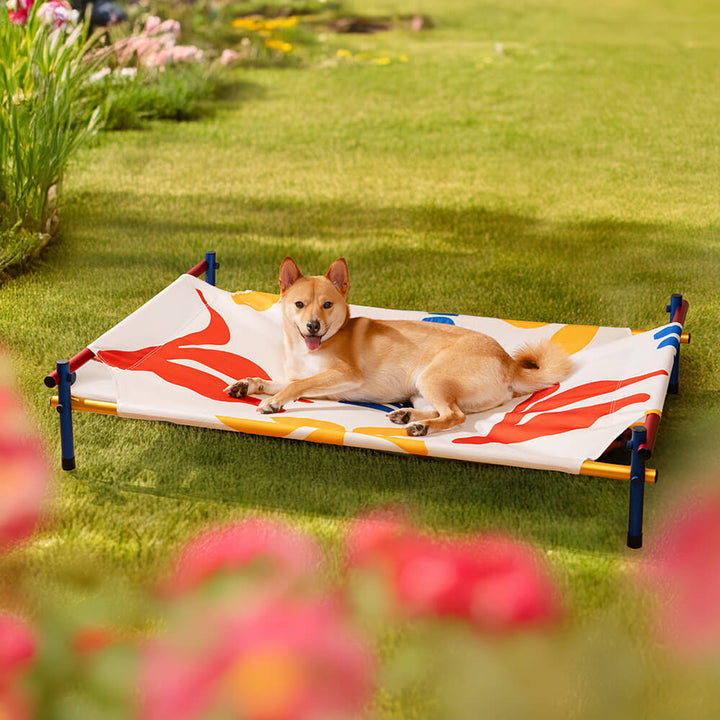 Comfortable pet bed with bright summer pattern fabric, elevated on a resilient aluminum frame.