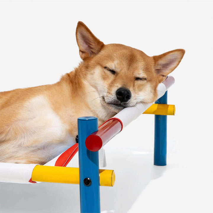 Colorful Oxford fabric elevated dog bed on an aluminum frame, perfect for pet comfort and airflow.