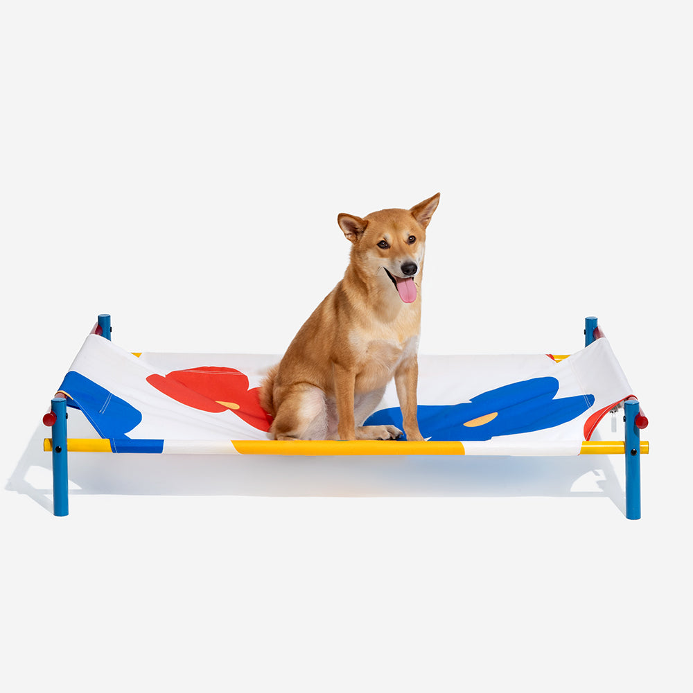 Aluminum frame elevated dog bed in a vibrant summer print, designed for easy assembly and outdoor use.
