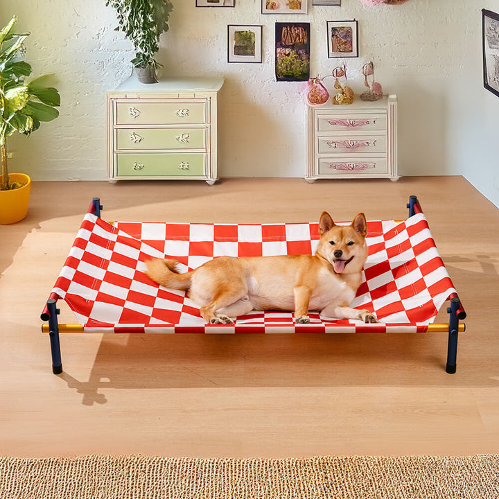 Lightweight aluminum frame elevated dog bed with a colorful print, offering pet comfort and easy cleaning.