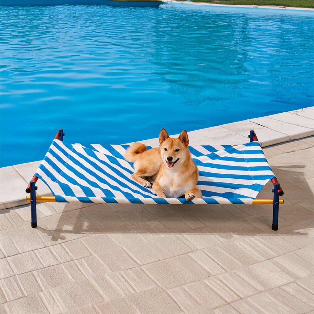 Outdoor dog bed: vibrant summer pattern on Oxford fabric with strong aluminum frame, elevated design.