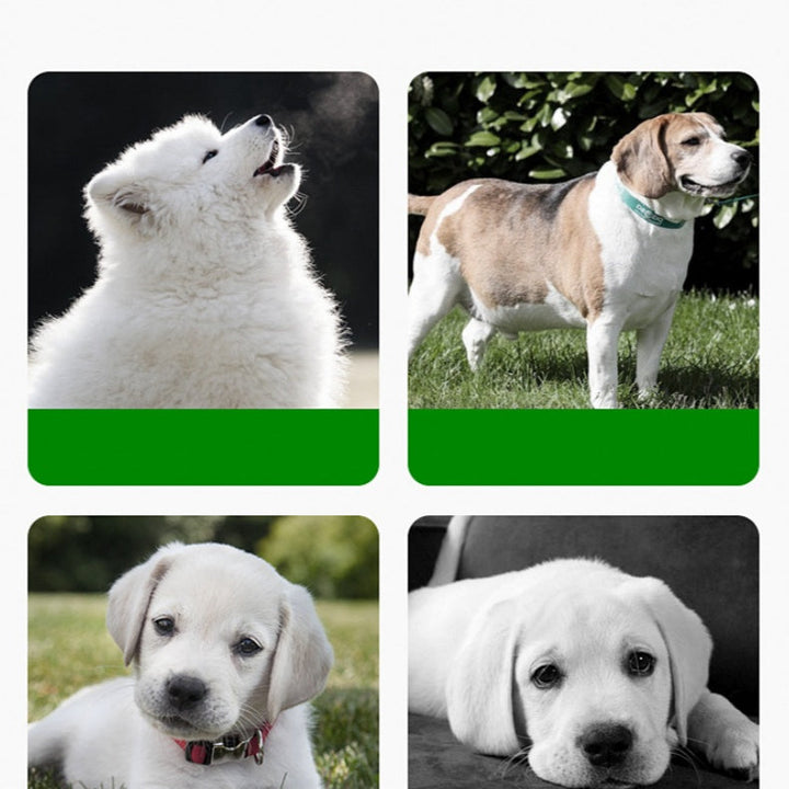 Close-up of vibrant green silicone pet mat with detailed grass design, non-slip function
