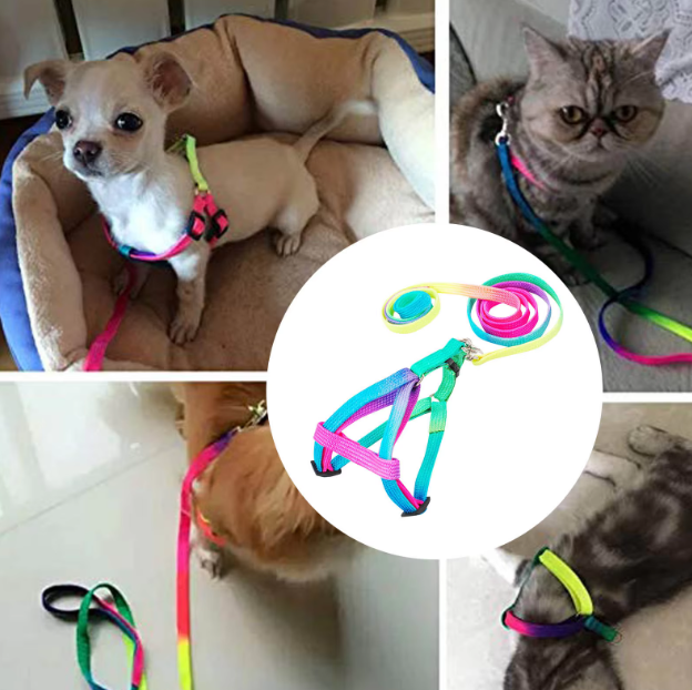 Vibrant rainbow dog harness and leash set, adjustable for comfort and secure pet walks.