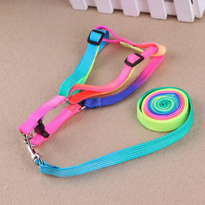 Stylish rainbow dog walking gear: an adjustable harness and leash set for playful pets.