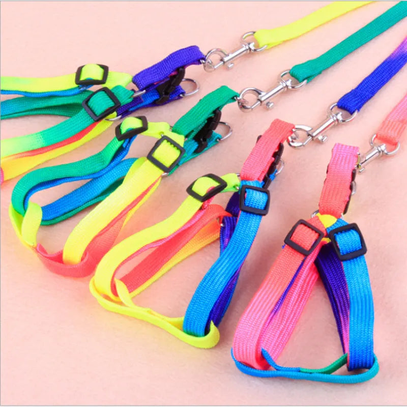 Pet accessory: a vibrant, adjustable rainbow dog harness and leash for safe and colorful adventures.